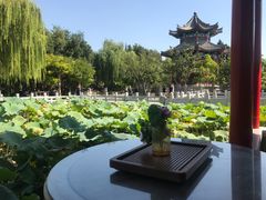 -济南大明湖景区