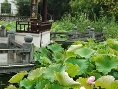 -丝绸小镇荻港古村