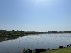 -上海海湾国家森林公园