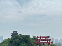 -黄鹤楼公园(黄鹤楼)