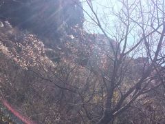 -焦作青龙峡风景名胜区