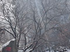 -少华山国家森林公园