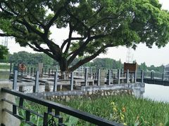 -黄埔古港