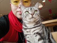 -CAT’S MEWSTAR CAFE·喵星球猫屋(晴湾咖啡店)