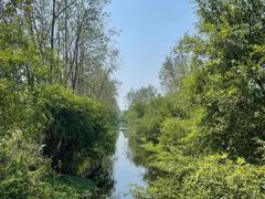 -合肥滨湖国家森林公园