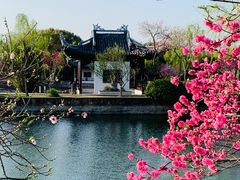 -无锡蠡湖国家湿地公园-蠡园
