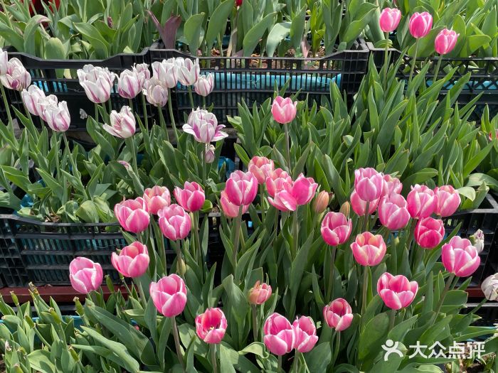 北陵公园图片