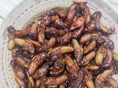 -昆虫窝子·特色云南菜(拓东路总店)