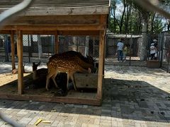 -长白岛森林公园