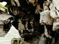-迎泽公园