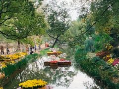 -上海共青森林公园