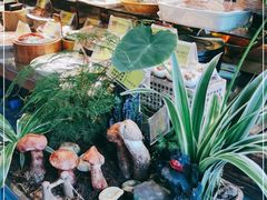 -福照楼汽锅鸡·云南菜(护国路店)