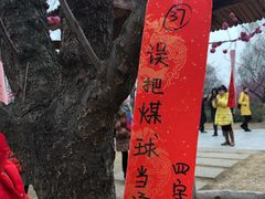 -秀丽东方