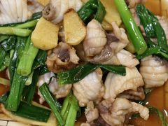 -鸽鸟轩(石岐店)