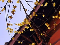 -钱王祠