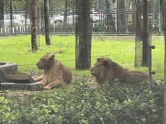 -秦皇岛野生动物园