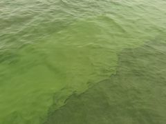 -贡湖湾湿地公园