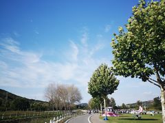 -大连铭湖国际观光牧场