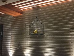 -环球梦主题KTV(曲阳生活购物中心店)