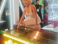 -武汉杜莎夫人蜡像馆