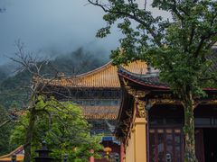 -东天目山风景区