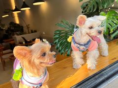 -小意思咖啡店(草桥店)