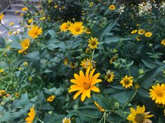 -香山公园-东宫门售票处