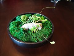 -碧丽宫大酒店(召稼楼店)