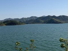 -望湖烤鱼