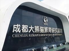 景点-成都大熊猫繁育研究基地