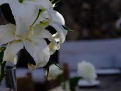 -MOJ coffee(瓯海泽雅水碓坑店)