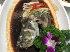 清蒸老虎斑-小贝壳酒楼(经九路店)