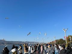 -滇池海埂公园