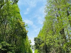 -上海海湾国家森林公园