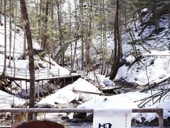 -峡谷浮石林景区