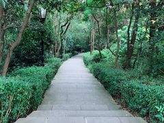 -宝界山林公园