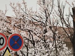 -终南山南五台景区