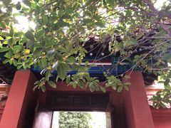 -戏马台景区