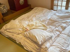 -嘉佑温泉水世界