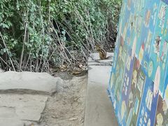 -水磨沟公园
