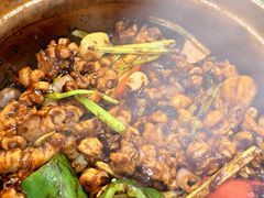 -天宝食坊·啫啫煲大排档(西华路店)