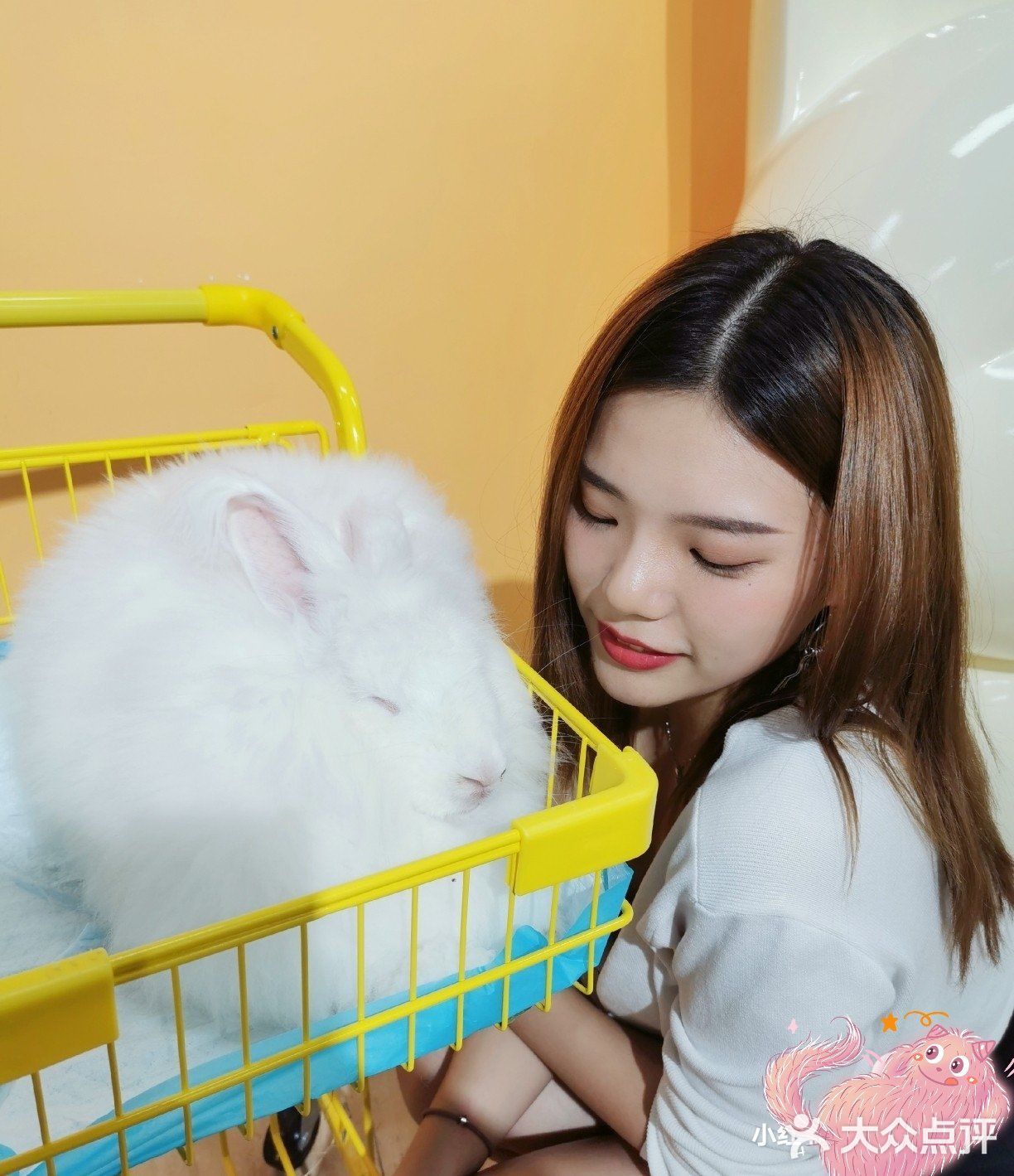 厦门探店‖兔兔浣熊小香猪三大萌宠等你来撸