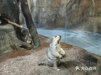 这个假期来动物园和小动物玩耍吧~