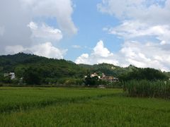 -红山村