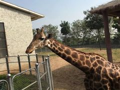 -石家庄市动物园