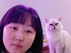 -极木²邸 人与宠物·互动社区