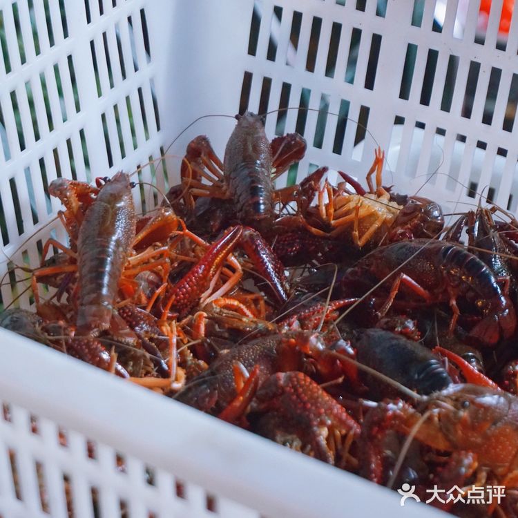 🦞吃遍南京的小龙虾馆也想安利这家~