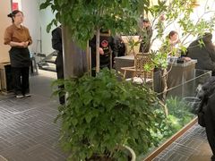 -杏花村水席楼·洛阳水席(老城十字街店)