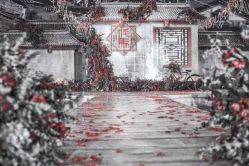 -忆江南婚礼策划(姑苏店)