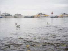 -青海湖二郎剑景区